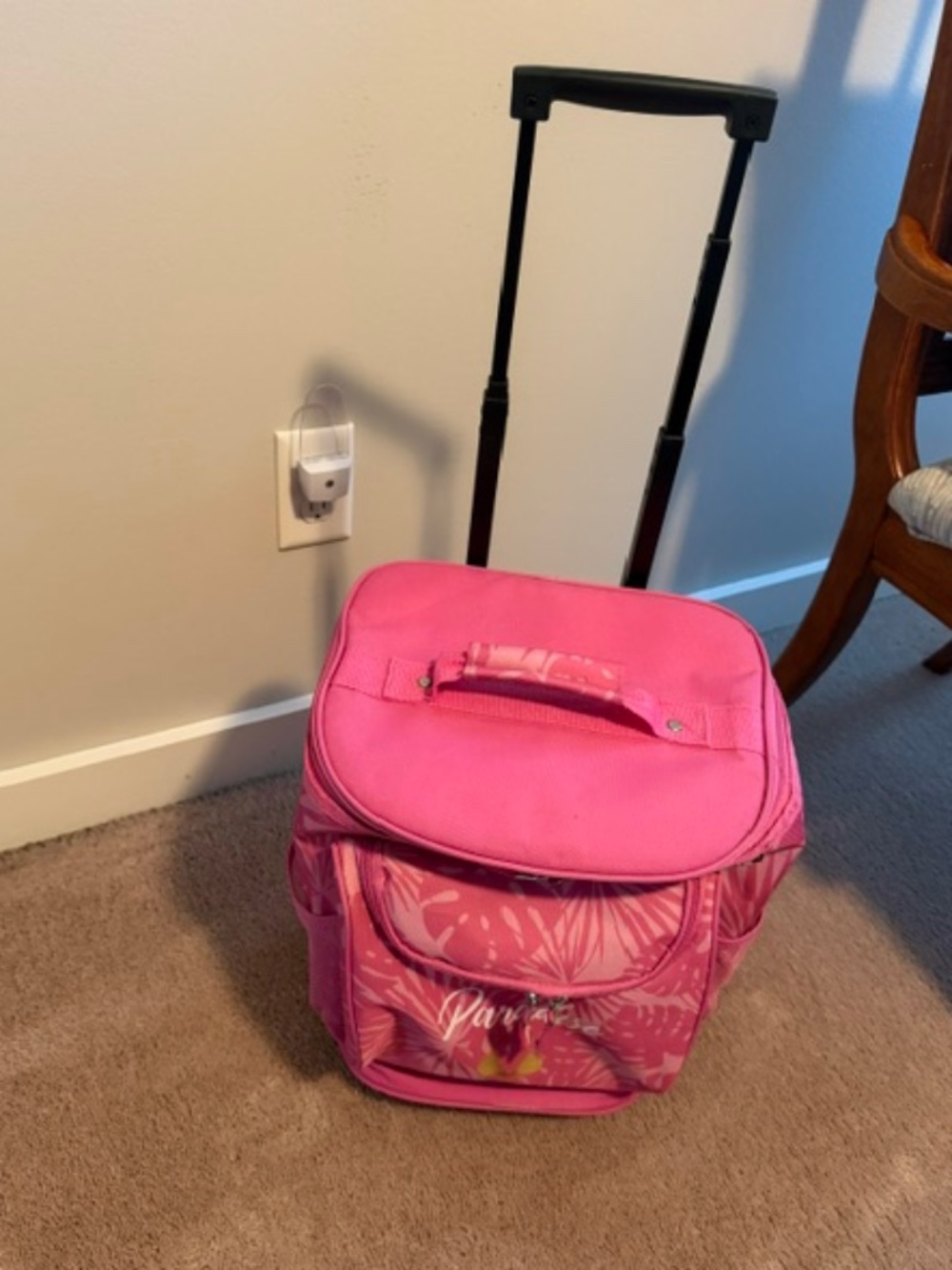 Small Insulated Bag Cooler on Wheels